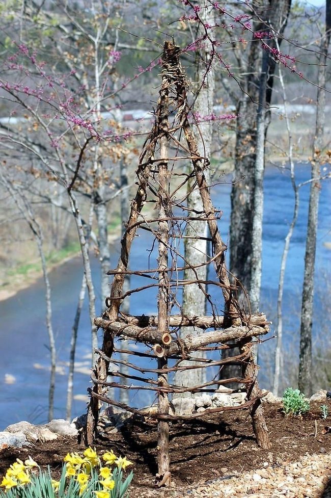 Wooden Bean Obelisks Garden Statement