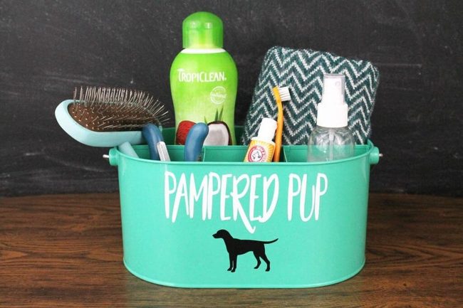 Pet Grooming Essentials Compact Holder