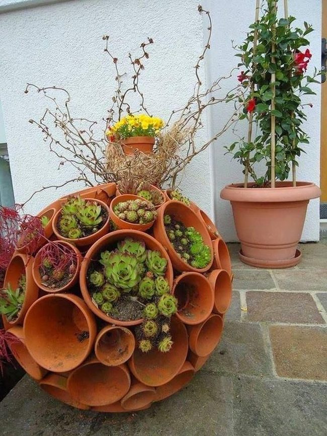 Terracotta Circles With Succulent Companions