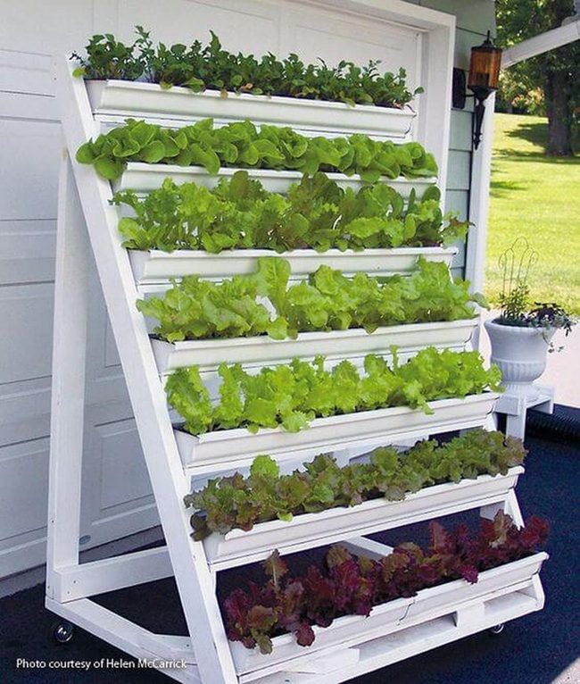 Vertical Garden Fresh Greens