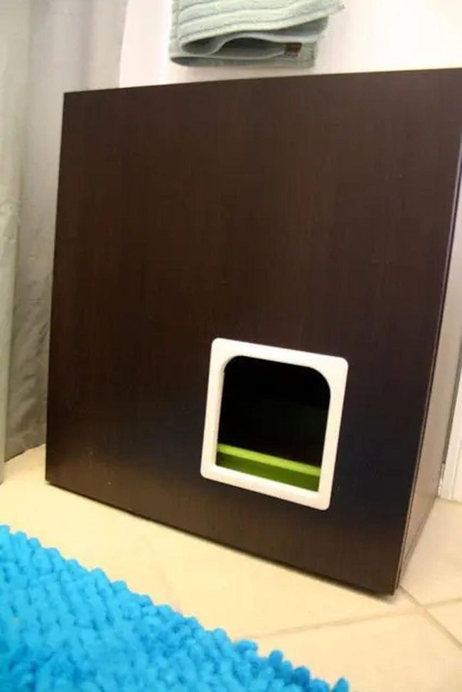 Thick Blue Rug Anchors Bathroom