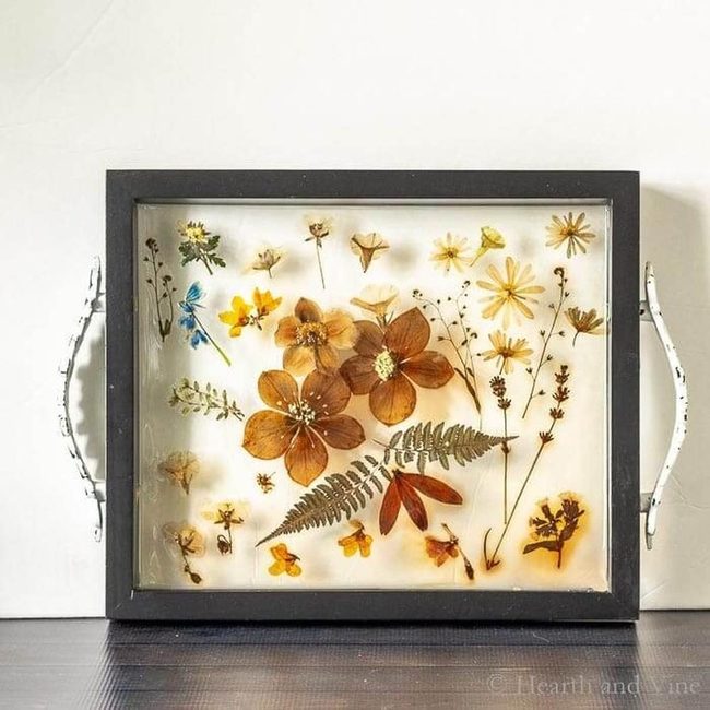Preserved Flowers In Transparent Resin