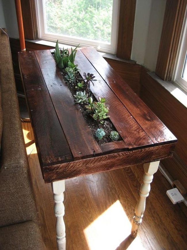Dark Wood Table Green Succulents