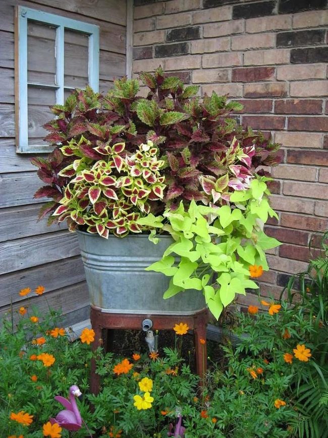 Galvanized Metal Planters With Drainage