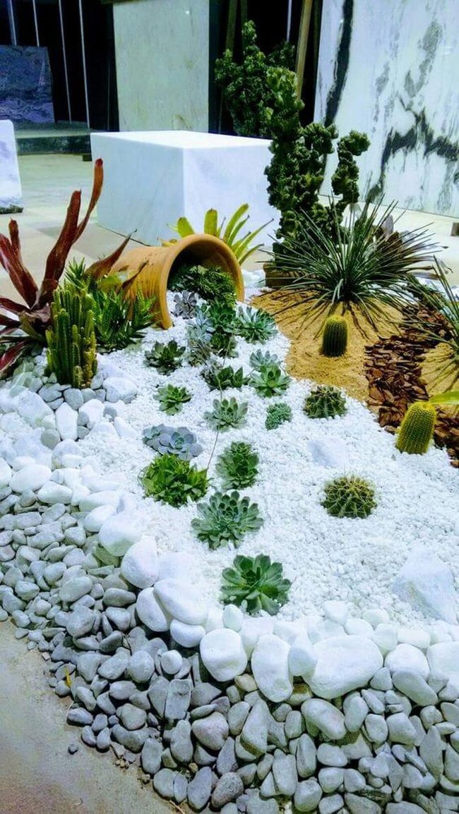Cascading Succulents And White Stone