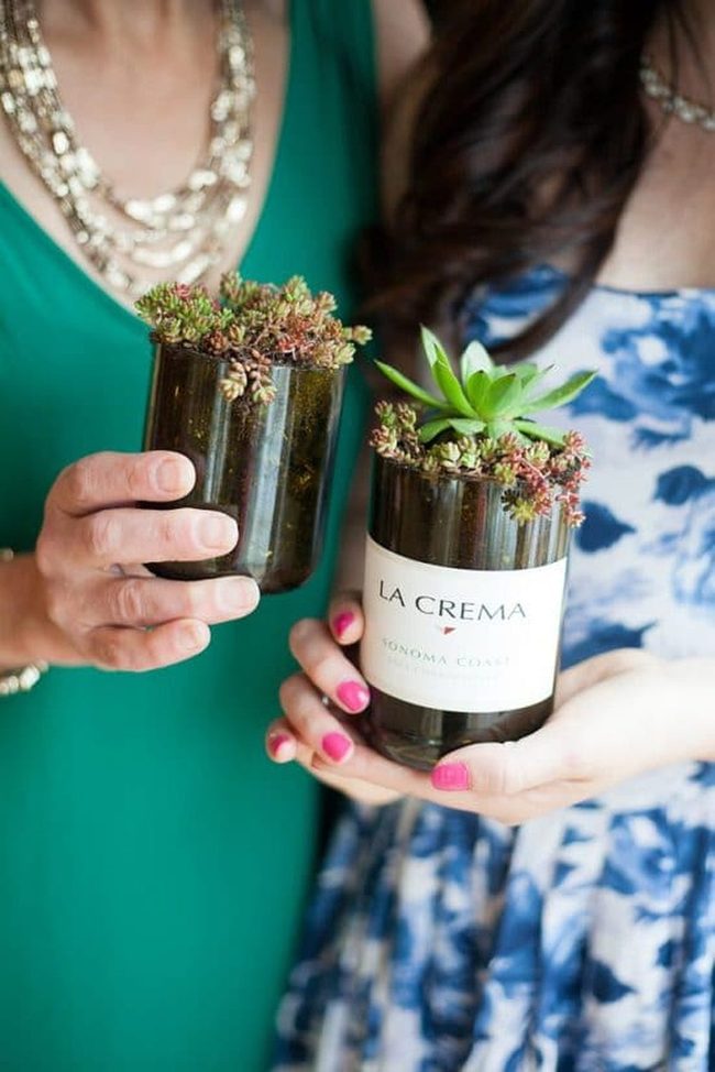 Upcycled Glass Succulent Planters