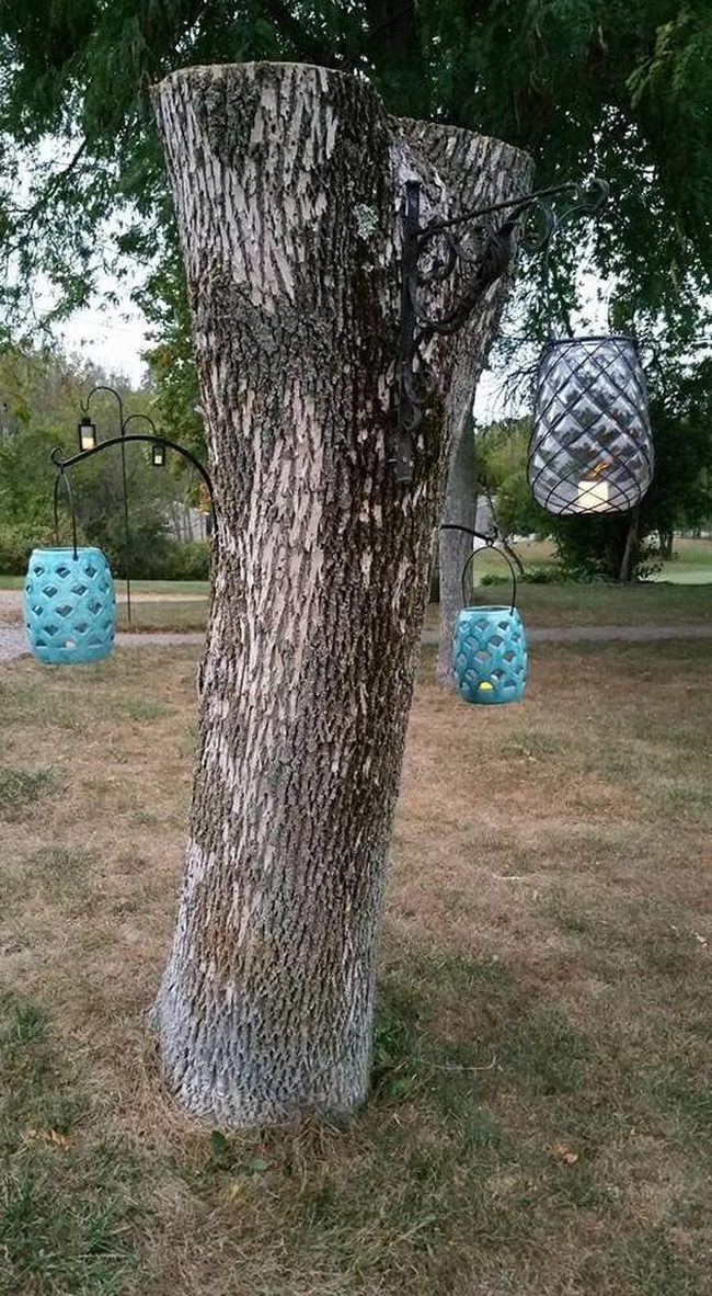 Lantern-Lit Tree Stump Garden