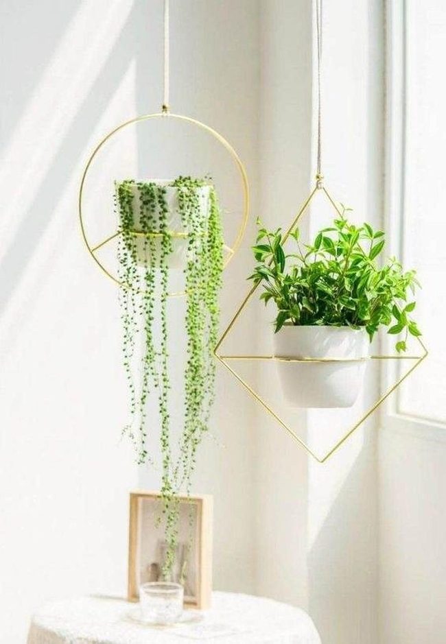 Hanging Gold Ring Planter