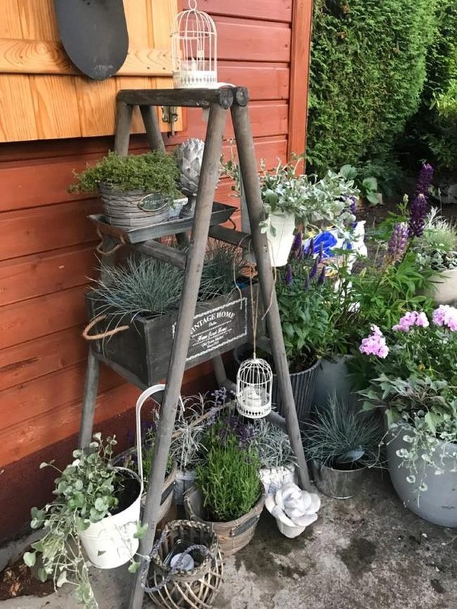 Wooden Ladder Garden Wall