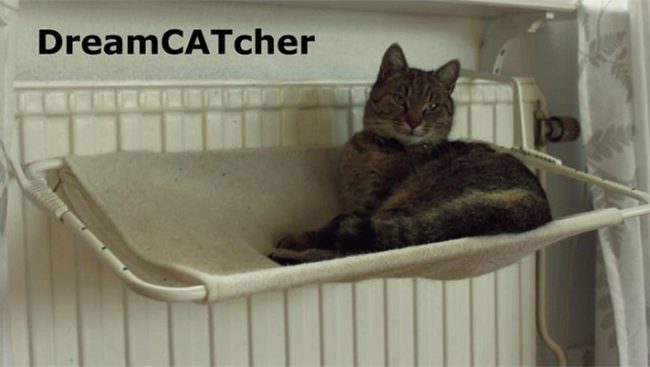 Warm Radiator Cat Hammock
