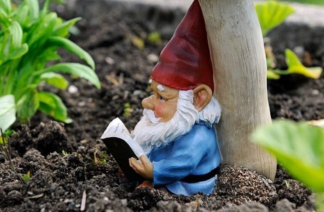 Ceramic Gnomes Reading Among Flowers