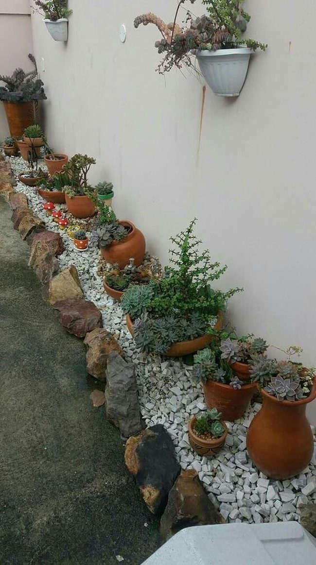 Terracotta Succulents On Stone Path