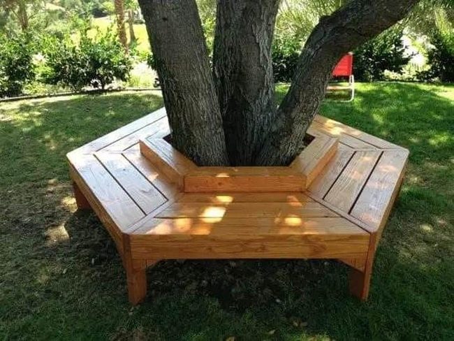 Tree Trunk Wooden Bench Gathering