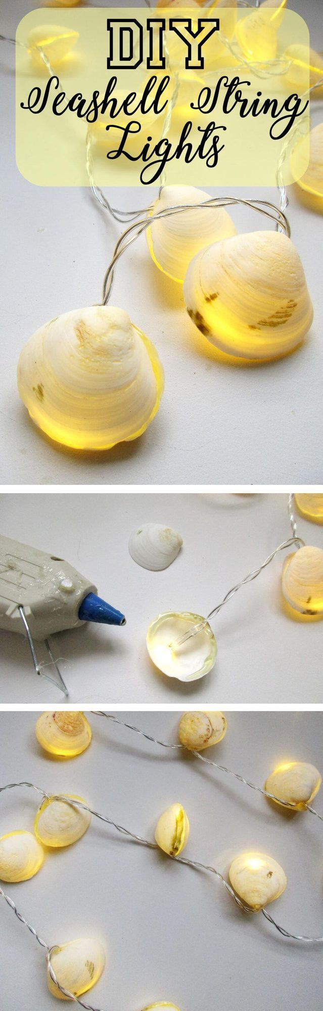White Shell Strand Lights