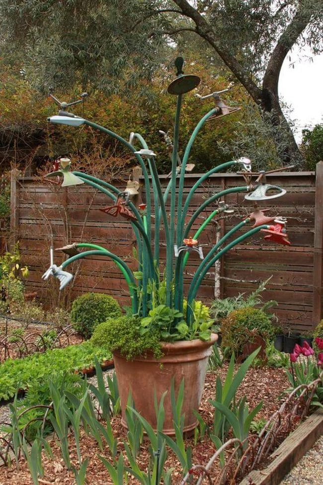 Spiraled Garden Hoses Bloom Bright