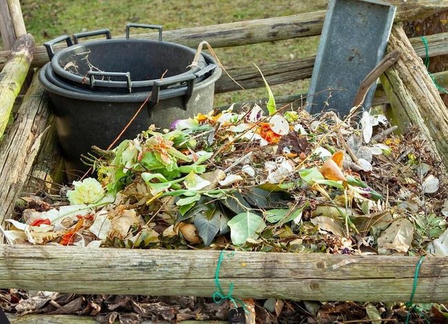 Kitchen Scraps Into Black Gold