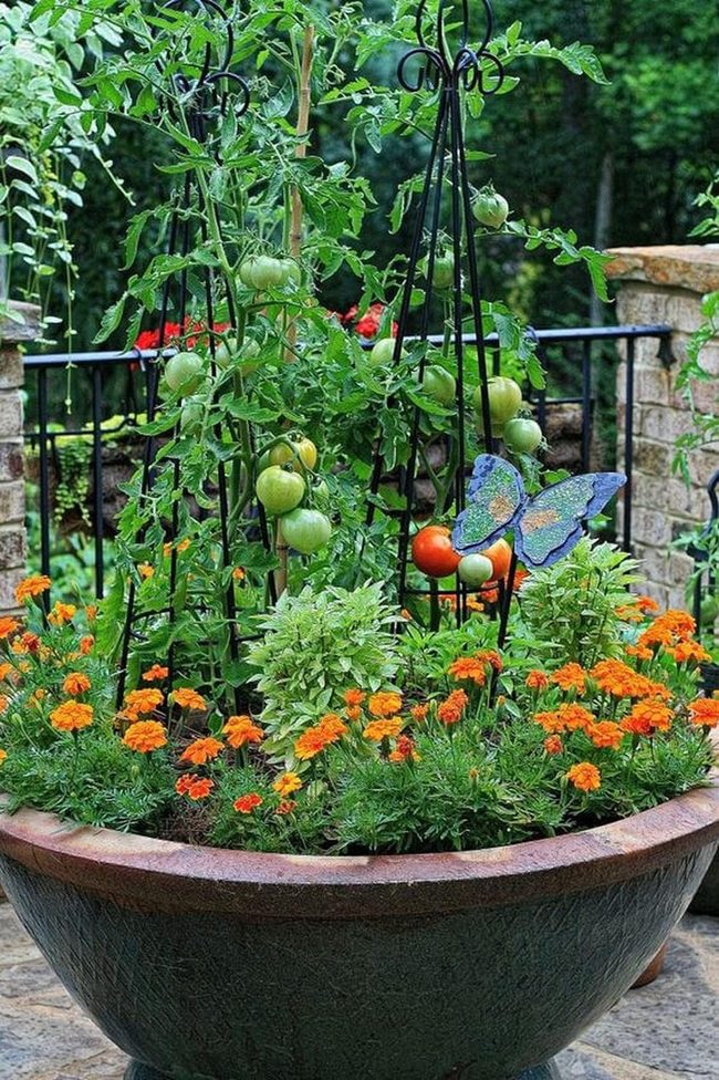 Petals Boost Garden Health And Color