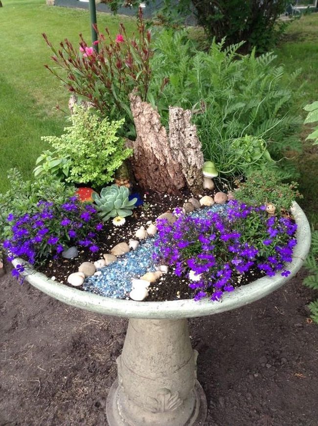Purple Blooms In Stone Birdbath