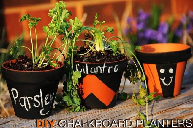 Black Chalkboard Pots Orange Details