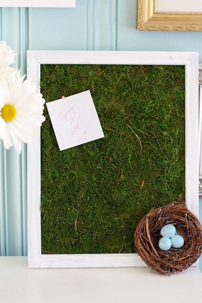 Green Moss Spring Vignettes