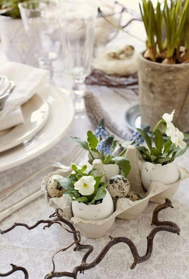 Recycled Egg Cup Gardens