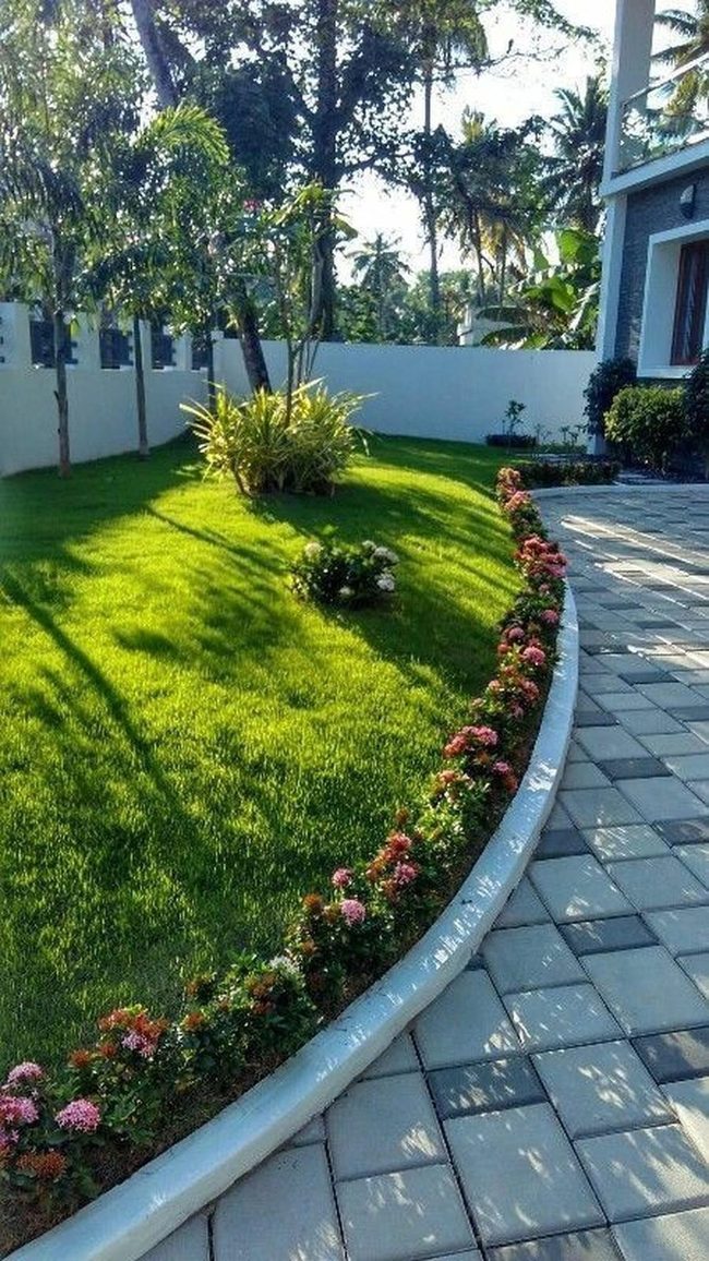 Curved White Border Meets Green Lawn