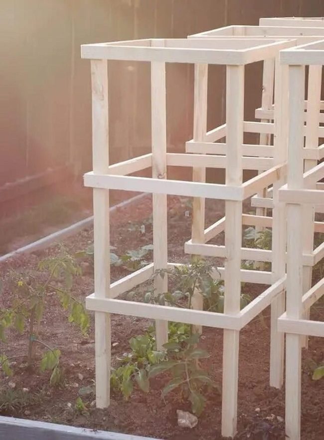 Wooden Tomato Cage Support