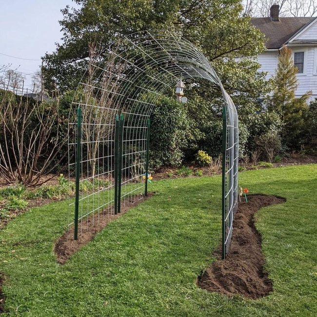 Metal Arch With Climbing Vines