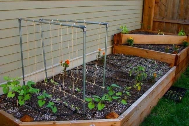 Pvc Arch Garden Trellis