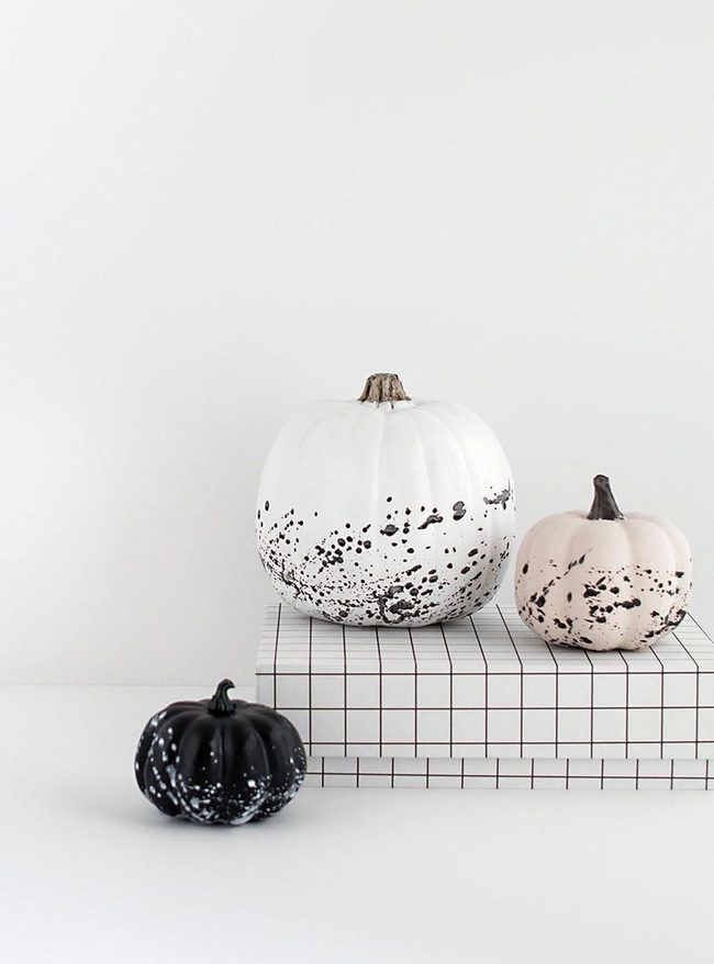Speckled Pumpkins Pink Black White