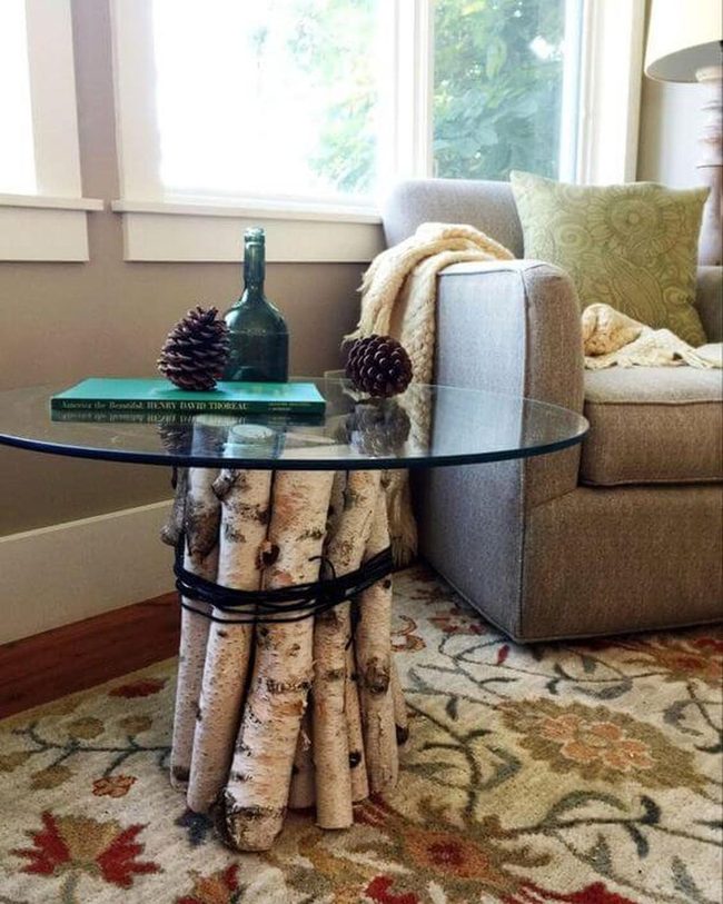 Birch Logs Meet Glass Surfaces