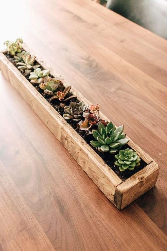 Wooden Box Overflowing Green Succulents