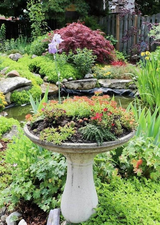 Birdbath Garden Stone Heart