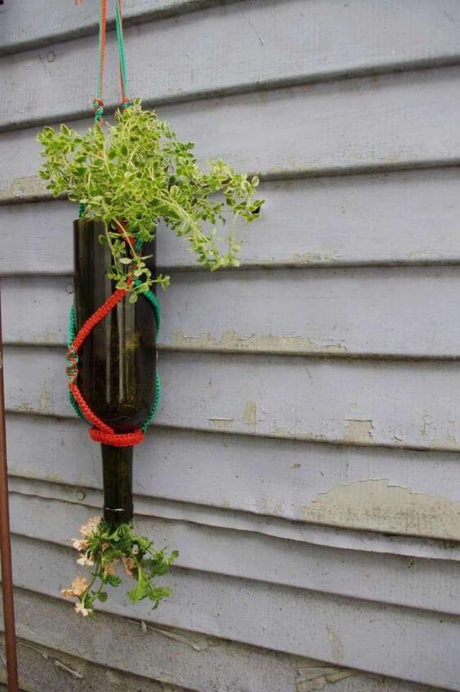 Hanging Glass Bottle Herb Garden