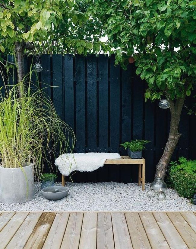 Black-Framed Garden With Glowing Orbs