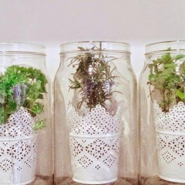 Transparent Glass Planters Lace Details