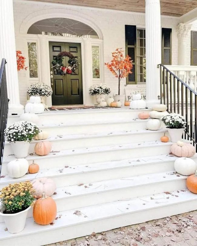 Orange Pumpkins Frame White Accents
