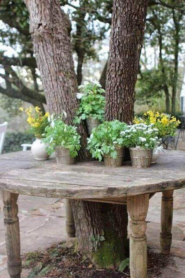 Tree-Wrapped Potting Bench