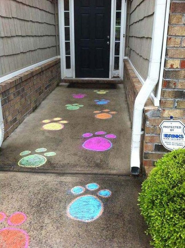 Chalk Bunny Footprints Trail