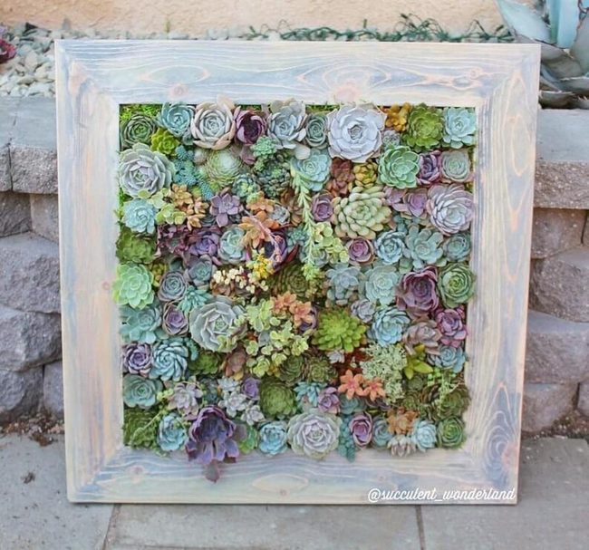 Framed Living Greenery Wall