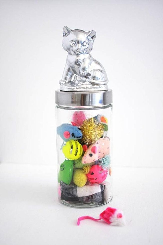 Colorful Pet Toys In Glass
