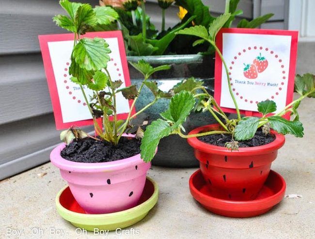Pink Polka Dot Strawberry Pots