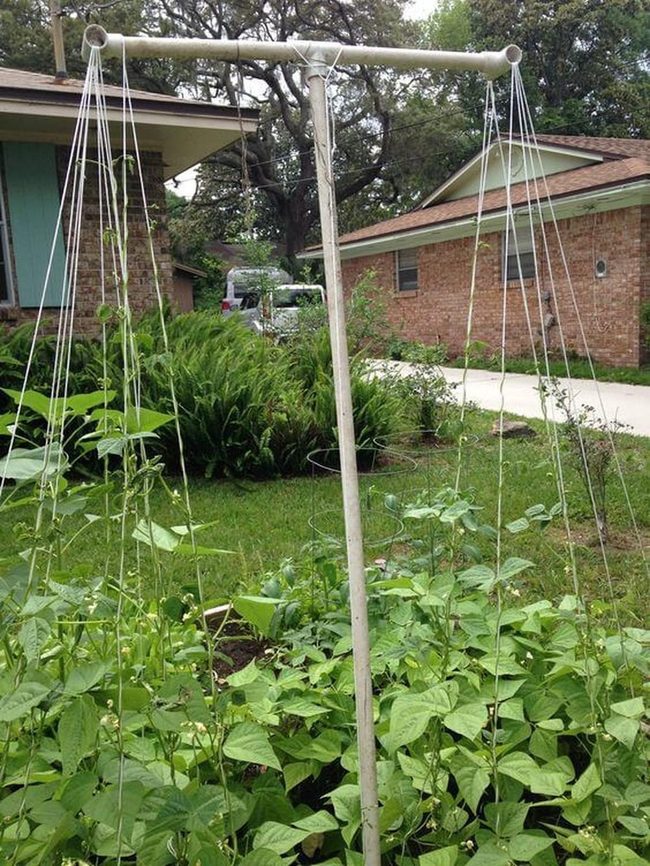 Pvc Pipe Garden Climbing Structure