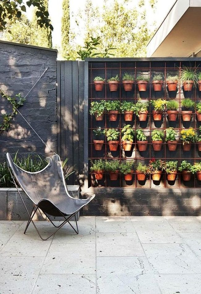 Dark Walls, Green Plants Thriving