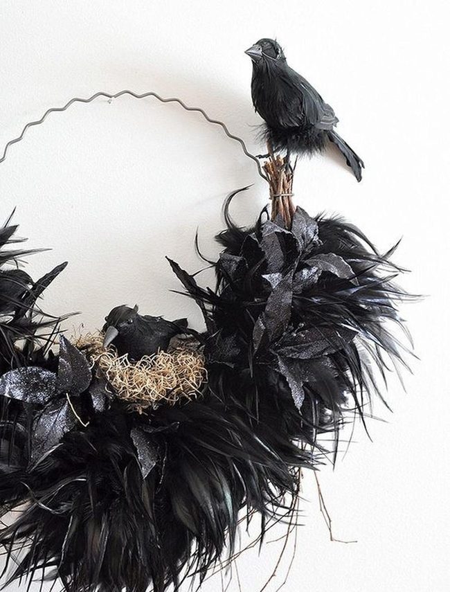 Black Feathers And Perched Birds