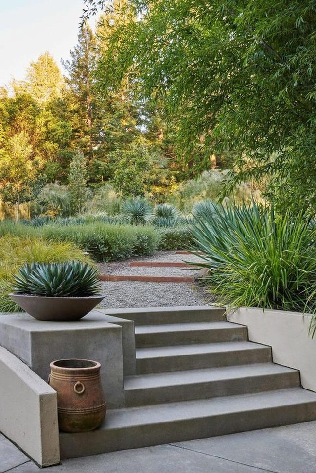 Spiky Succulent Garden Pathway
