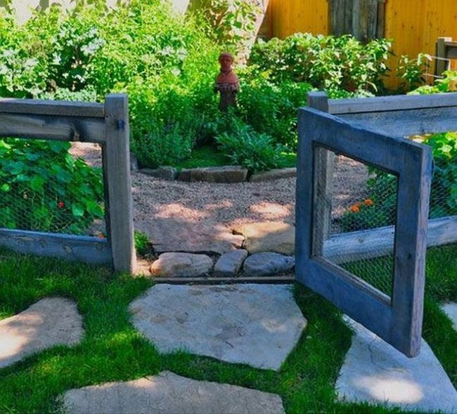 Vine-Covered Wire Garden Divider