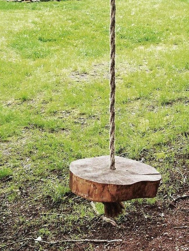 Log Swing Natural Gathering Space