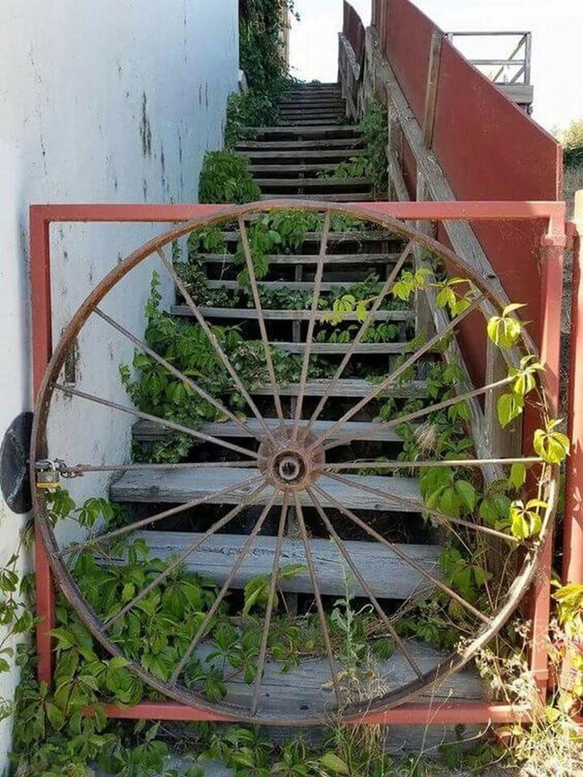 Weathered Wheel Garden Sanctuary