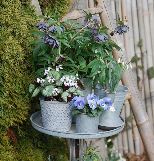 Metallic Pots Layered Greenery